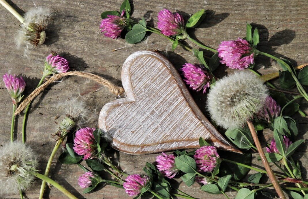 Um coração gasto entre flores simples