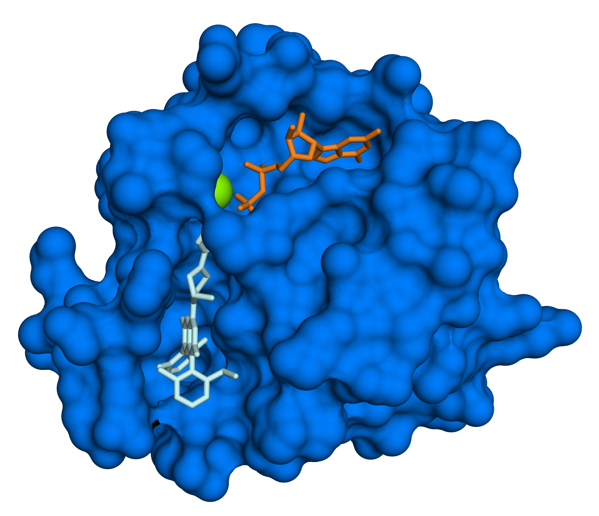 Modelo molecular da proteína KRAS G12C com GDP e o inibidor sotorasib ligados