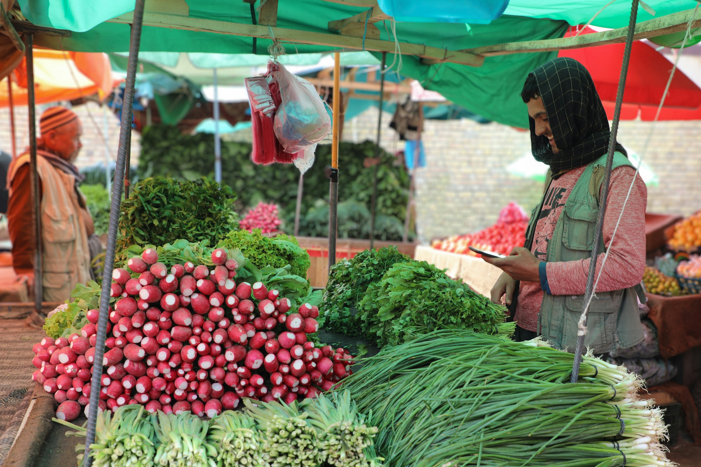 Regime talibã: vendedor organiza legumes num mercado de Cabul, no Afeganistão.