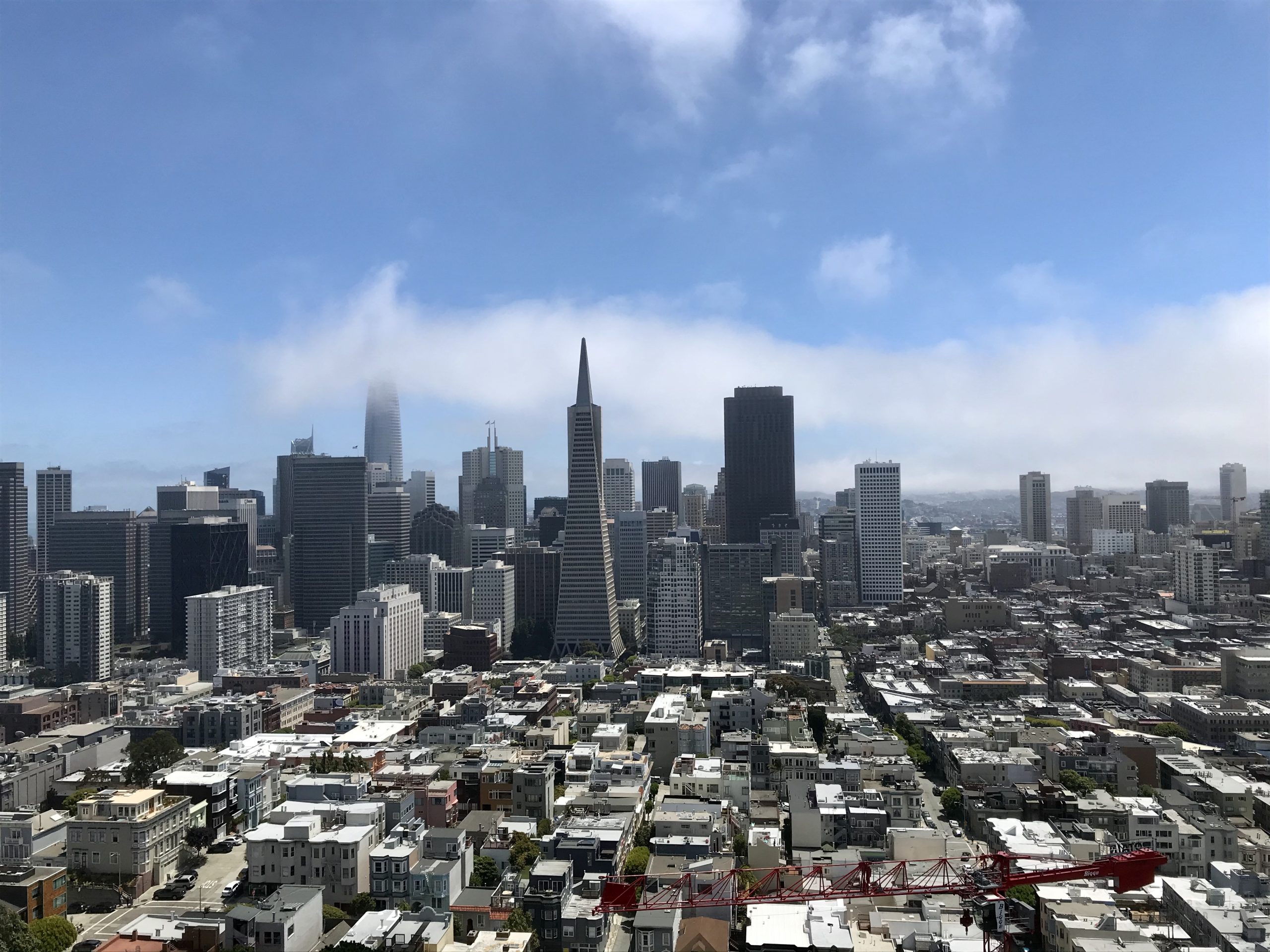 Coinvestimento: menos comissões, decisões diferentes Vista dos edifícios do distrito financeiro de São Francisco a partir da Coit Tower