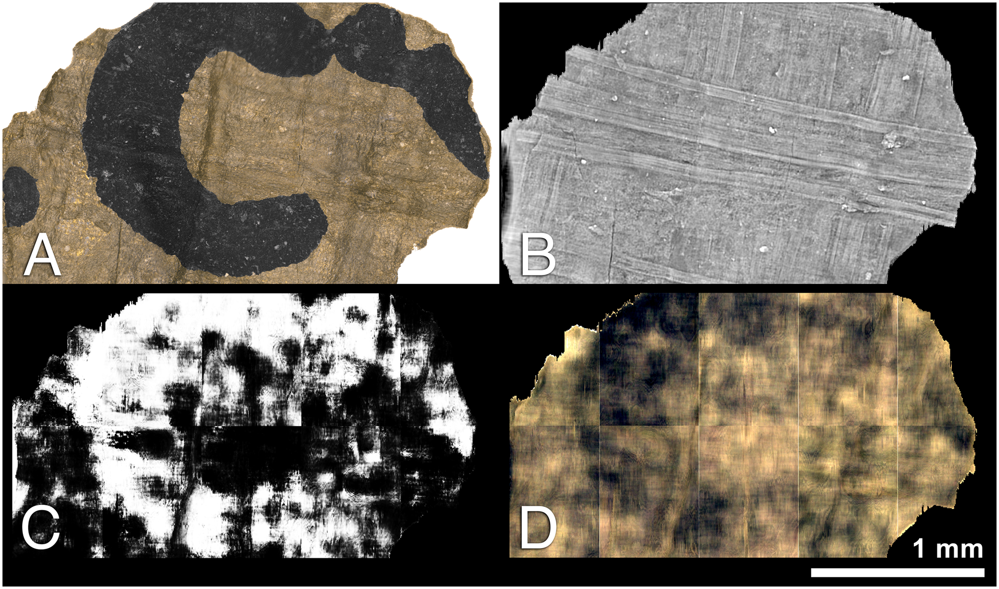Comparação entre fotografia e imagens digitais da tinta num fragmento de papiro de Herculano