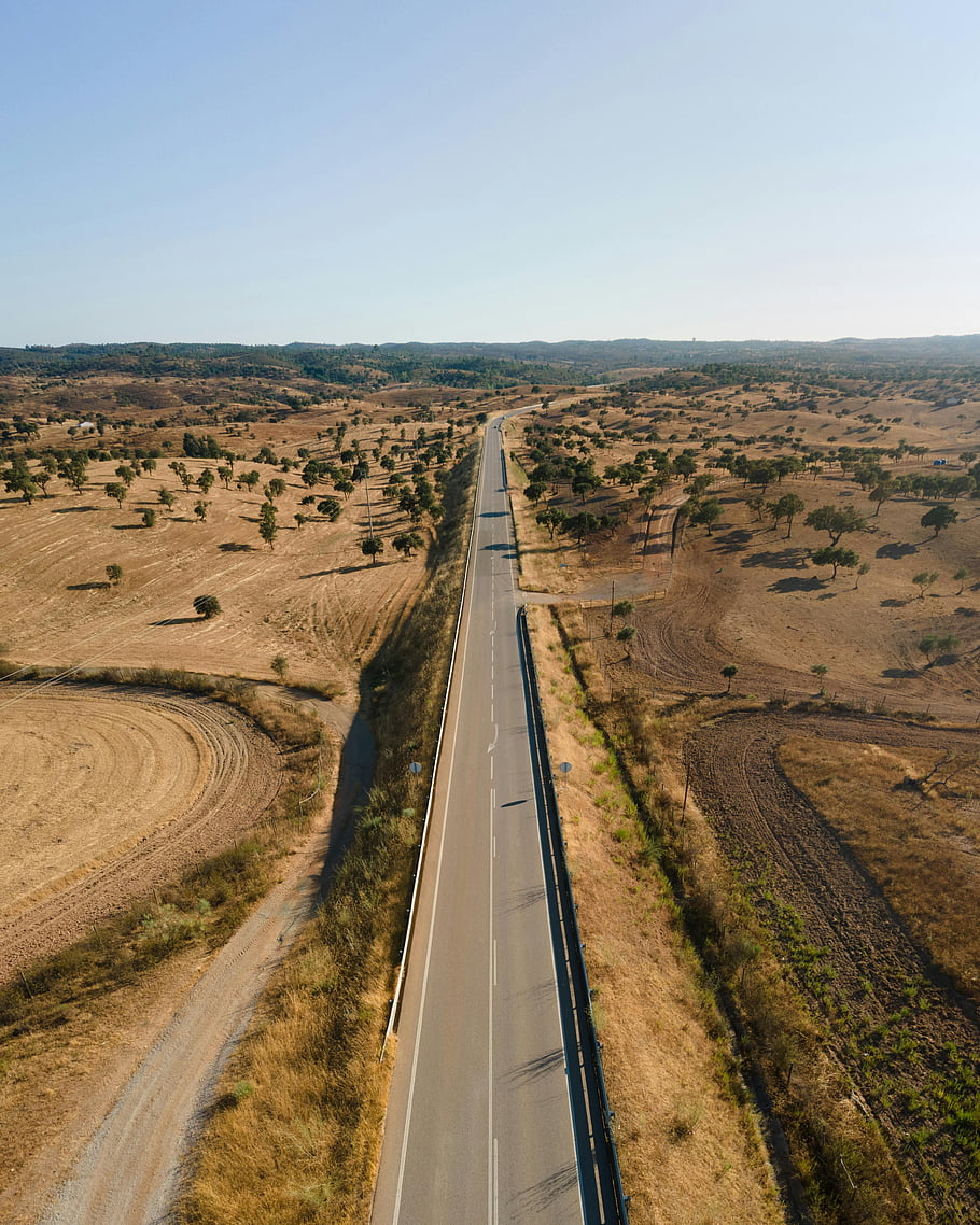 Campos e estrada em Reguengos de Monsaraz, no enquadramento dos terrenos abandonados